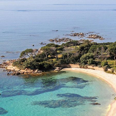Studio Rue Pietonne Ajaccio Ajaccio  Dış mekan fotoğraf