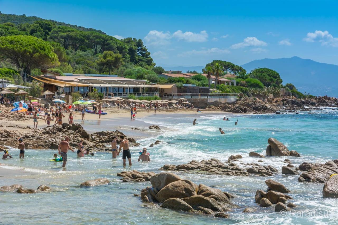 Studio Rue Pietonne Ajaccio Ajaccio  Dış mekan fotoğraf